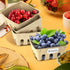 LJLGSZY 50 Pack Natural Pulp Fiber Berry Baskets with Blank Label for Vegetables Strawberry Blueberry Raspberry Egg