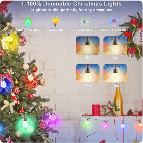 Generic 49ft, 15 Dimmable Bulbs IP66 Outdoor String Lights Outdoor Lights for Patio String Lights for Outside with LED