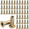 AOKLIT 50 Pcs Multi Grip Rivet Nut Kit, 1/4-20 Rivet Nuts Carbon Steel