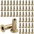 AOKLIT 50 Pcs Multi Grip Rivet Nut Kit, 1/4-20 Rivet Nuts Carbon Steel