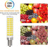 E12 Bulbs 100W C7 Dimmable 6000K 10W 1000 T6 E12 Bulbs 6 Pack LED Candelabra Equivalent Daylight White Lumen LED