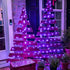 2 Pack 66ft 200 8 QITONG Solar Fairy Lights Outdoor Waterproof, Each LED Purple Christmas String Lights, Silver Wire