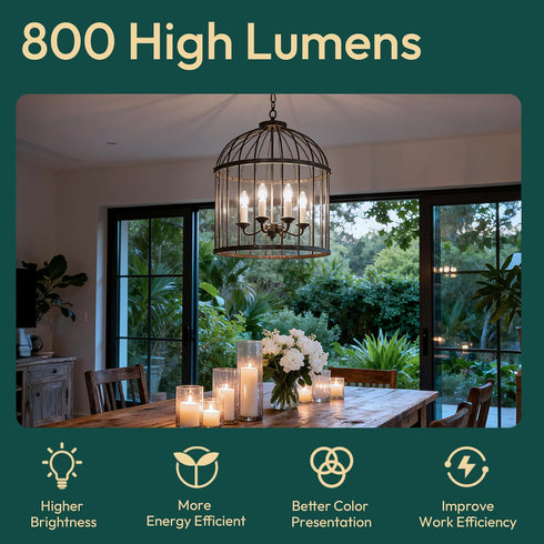 6 Pack Bulbs 100 800LM Dimmable Bulb, E12 5000K B11 5.5W, ALAMPEVER Chandelier Light Watt Equivalent, Bright LED Light