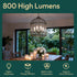 6 Pack Bulbs 100 800LM Dimmable Bulb, E12 5000K B11 5.5W, ALAMPEVER Chandelier Light Watt Equivalent, Bright LED Light
