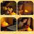 Dimmable YuanDian Fox Night Light, Squishy Fox Silicone Lamp Novelty Gifts, Rechargeable Timer Bedside Touch Nightlight