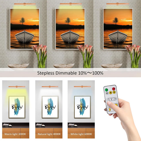 16in Dimmable MIOBLUE LED Picture Light Battery Operated with Remote, Rechargeable Picture Light for Paintings,Metal