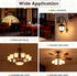 Achbeah Non-Dimmable 60W g16.5 Bulb E26 2700K 6W 60 Bulb G50 Bulb Edison - Equal Watt Warm White Light Globe for Front