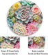 Gctriki Succulents Mouse Pad, Cute Small Mouse Pads for Desk, Botanical Round Travel Mousepad for Wireless Mouse Gaming
