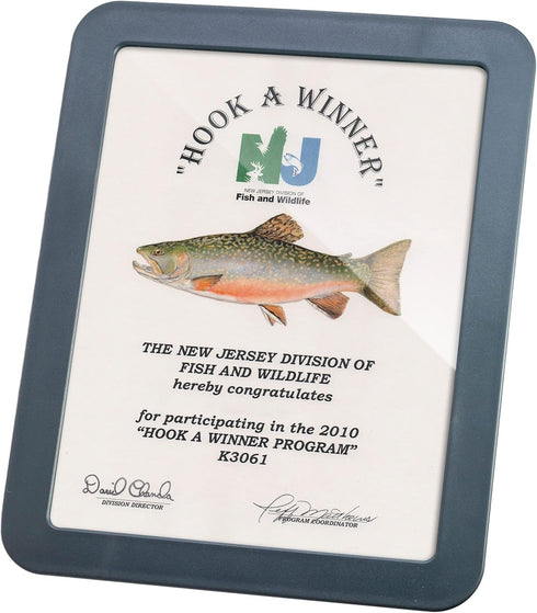 Officemate Verticalmate Certificate Holder, Slate Gray (29172)