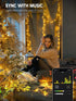 115FT 300 Dimmable BrizLabs Smart Christmas Lights, LED Fairy String Lights with App/Voice Control, Warm White