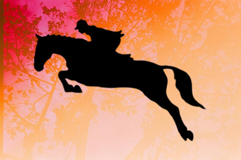 Reusable Horse Jumping Stencil 11" x 8.5" - Custom Equestrian Design for Dynamic Crafts