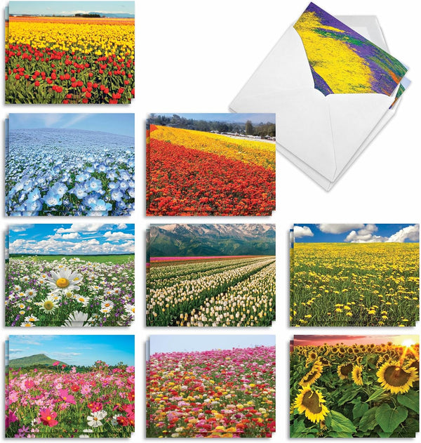 The Best Card Company - 20 Landscape Nature Note Cards Blank (4 x 5.12 Inch) - Super Blooms AM7175OCB-B2x10
