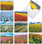 The Best Card Company - 20 Landscape Nature Note Cards Blank (4 x 5.12 Inch) - Super Blooms AM7175OCB-B2x10