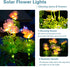Solar Garden Lights - 2 Pack Solar Flowers Lights with Glowing Flowers & Stems for Outdoor Garden Decoration
