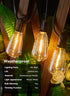 38FT 16+1 Bulbs, Dimmable 3 Commercial Brightown Solar String Lights Outdoor Waterproof with Remote, LED Shatterproof