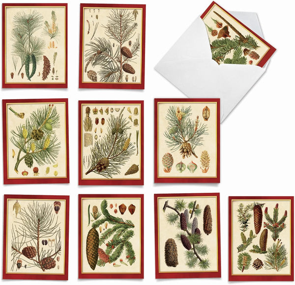 The Best Card Company Variety Pack of 10 Blank Christmas Greeting Cards with Envelopes - Humor Holiday Assortment (10