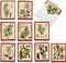 The Best Card Company Variety Pack of 10 Blank Christmas Greeting Cards with Envelopes - Humor Holiday Assortment (10