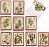 The Best Card Company Variety Pack of 10 Blank Christmas Greeting Cards with Envelopes - Humor Holiday Assortment (10