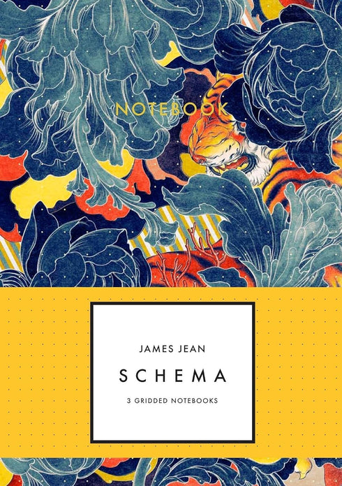 James Jean Schema Notebook Collection - 3 Gridded Notebooks