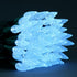 SWEET SHINE 140 Pack 2 70 Count 36 C6 Cool White Strawberry One-Piece LED Christmas Lights, of Strands ft, High