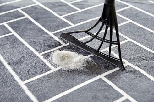 Broombi - Replacement Head Only for Cleaning (No Pole)