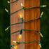 Novelty Lights 35 LED 11.5FT Christmas String Lights, Weatherproof LED String Lights with Shatterproof Bulbs