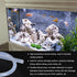 16ft Clear Silicone Tubing 1/4" ID x 3/8" OD, 6mm x 10mm Industrial Plastic Tubing for Pump Siphoning, Draining