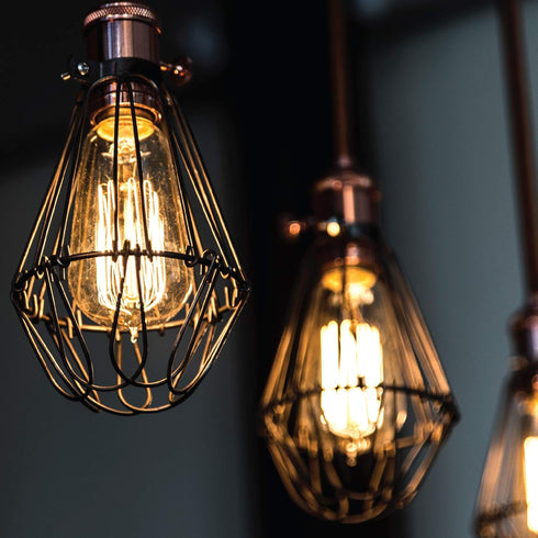 ST64INC-6 ST64 Bulb 6-Pack Bulbs-ST64 60 Watts-Dimmable, (E26) E27-Squirrel 6-Pack, 2.7, Newhouse Lighting Vintage
