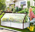 8x12FT Grommets Clear Tarp - Heavy Duty Waterproof Plastic Tarps with Clear Vinyl Tarps for Outdoor Porches Transparent