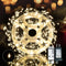 Dailyart Plug in 500 Led Fairy Lights with Remote 42Ft Fairy Lights
