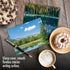The Best Card Company - 20 Landscape Nature Note Cards Blank (4 x 5.12 Inch) - 10 Designs, 2 Each, Reflections