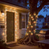 150 50 LUCKY SHINE LED Warm White Christmas Lights, UL Certified FT Green Wire String Lights, for Indoor and Outdoor