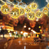 20 Mamma 70s 80s 90s AceList LED Disco Ball String Light for Mia Dance Party, Disco Ball Decor Battery Powered and USB