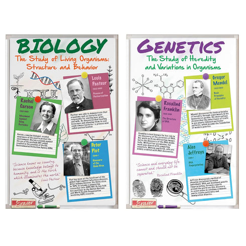 North Star Teacher Resource Bulletin Board Set Scientists