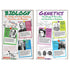 North Star Teacher Resource Bulletin Board Set Scientists