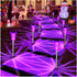 DenicMic 10 Pack Solar Lights Outdoor Waterproof Purple LED Stainless Steel Stake Outside Lights for Yard Pathway