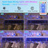 200 72FT 8 KerKoor Solar Rope Lights Outdoor Waterproof LED - LED Solar Rope String Lights, Modes with Remote Flexible