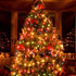 200 66FT 13 Connectable LED Christmas Lights Indoor Outdoor with Timer, Modes Multicolor String Lights Waterproof