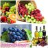 Refractometer for Grape Wine Brewing, Measures Sugar Content, Dual Scale 0-40% Brix & 0-25% vol Alcohol