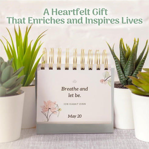 MESMOS 366 Daily Mindfulness Affirmation Quotes, Perpetual Desk Calendar, Inspirational Self Care Gifts for Women, Desk