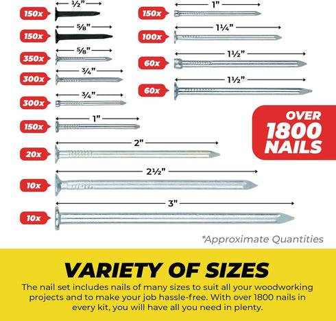Top Quality Nail Assortment Kit - Over 1800 Multipurpose Hardware Nails in 11 Sizes - Non Bendable & Sturdy Box