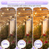 28 Pack S14 Bulbs Bulbs E26 2200K, Dimmable GvvooHome for Outdoor String Lights, Shatterproof LED Replacement for Patio