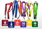 GIFTEXPRESS Hall Pass Lanyards and School Passes, Set of 6