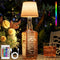 Wireless Wine Bottle Lamp Shade: Liquor Bottle Stopper Light With Remote Control