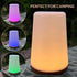 1 13-Color GlowLite - LED Night Light with Remote, Changing Ambiance Light for Living Room, Dining Table & Camping