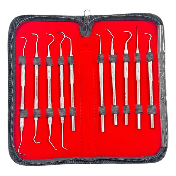 Avon Surgical 10 Pieces Kit - Dental Hygienist Oral Care Picks Single + Double-Ended