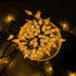 Dazzle Bright C6 Battery Operated Christmas Lights, 2 Pack Total 100LED 34FT Warm White Indoor Outdoor Decor