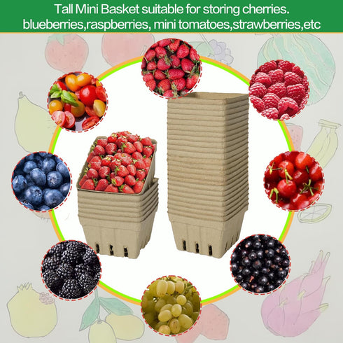 DADAB 60 Pack (60 Natural Pulp Fiber Berry Basket, Molded Produce Vented Kitchen Supplies for Strawberry Blueberry