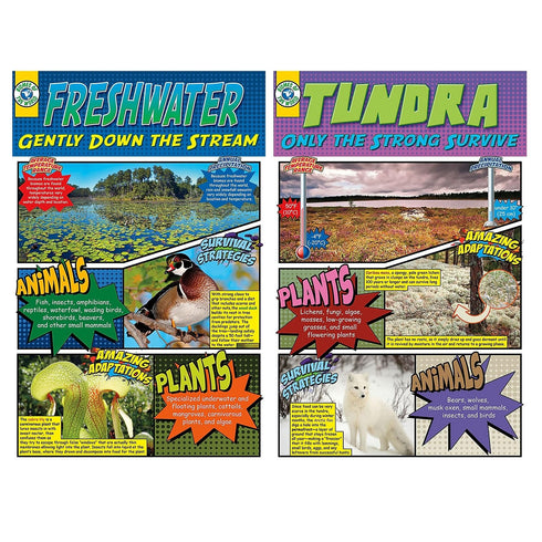 North Star Teacher Resource Biomes Bulletin Board Set