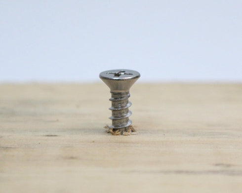 Bolt Dropper No. 6 x 3/4" Stainless Steel Flat Head Phillips Wood Screw (100 pc) - 18-8 (304) Stainless Steel